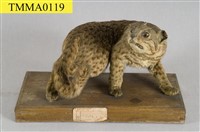 石虎藏品圖，第8張